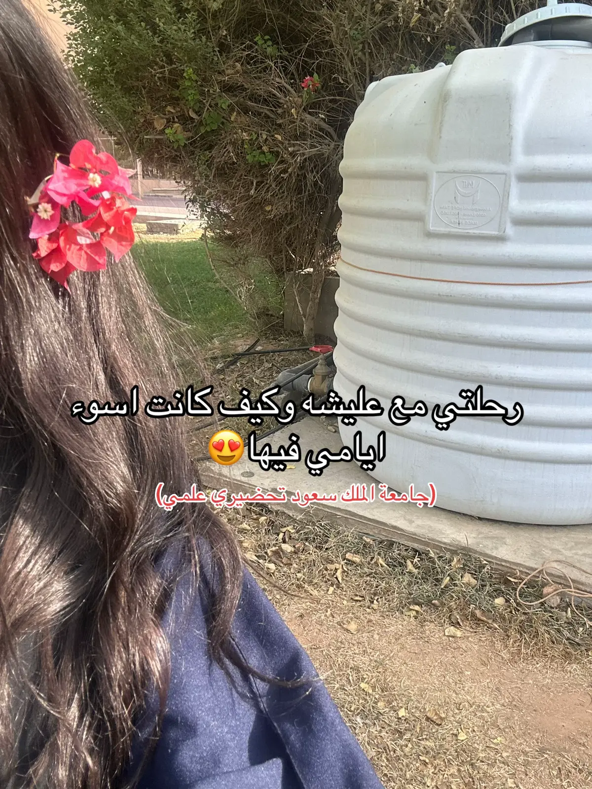 Feed cover
